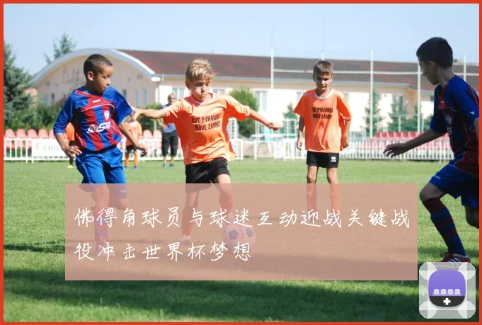 佛得角球员与球迷互动迎战关键战役冲击世界杯梦想