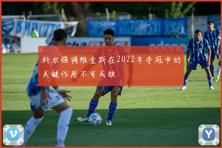 科尔强调维金斯在2022年夺冠中的关键作用不可或缺