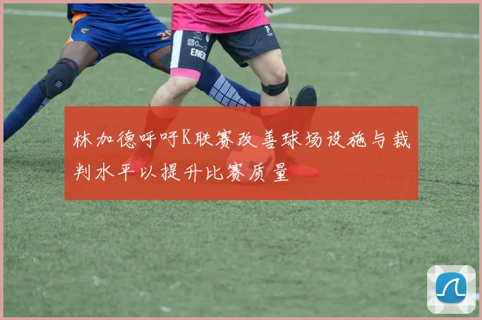 林加德呼吁K联赛改善球场设施与裁判水平以提升比赛质量